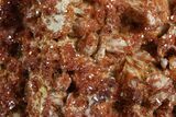 Glittering Ruby Red Vanadinite Crystals on Barite - Morocco #349430-1